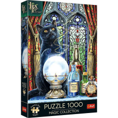 Puzzle 1000 gabaliņu premium raganas māceklis lisa parker