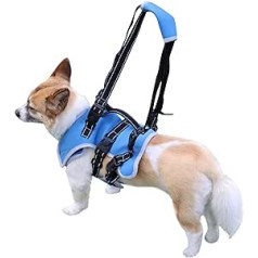 JoyDaog Dog Harness, Front Legs, Support for Large Dogs, Recovery Sling Carrier with Handle for Elderly, Disabled, Joint Injuries, Climbing and Descending (Blue, XL)