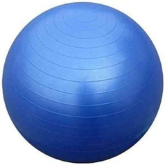 B4E Exercise ball with hand pump