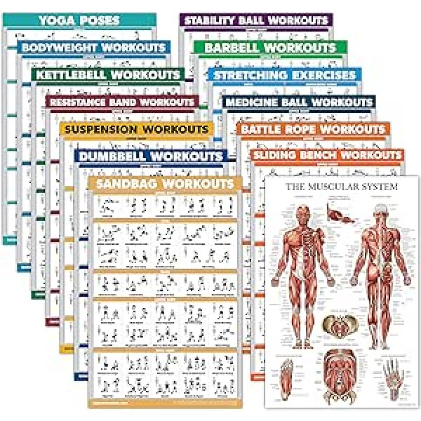 Palace Learning Exercise plakātu komplekts: hanteles, balstiekārta, tējkanna, pretestības lentes, stiepšanās, muskuļi, medicīnas bumba, kaujas virve, ķermeņa svars, stienis, joga, vingrošanas bumba