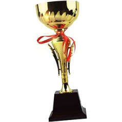 Toddmomy 1 gabalo futbolo nugalėtojų apdovanojimai Konkurenciniai trofėjų konkursai Aloy Bee Vakarėliai Krepšinio garbės ceremonija Karnavalo nugalėtojų turnyrai Renginiai, skirti