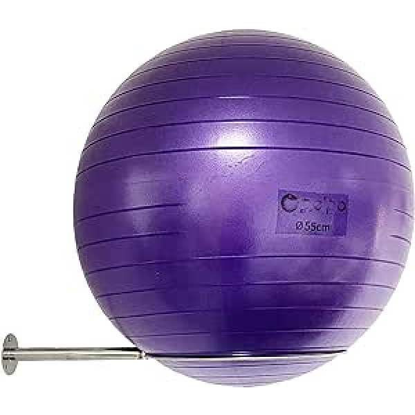 Wall Mounted Stainless Steel Gym Ball Holder, Sturdy Yoga Ball Storage Rack, Stability Ball Display Holder, for Training/Yoga/Stability Balls 32 cm to 86 cm (13 inch to 34 inch)