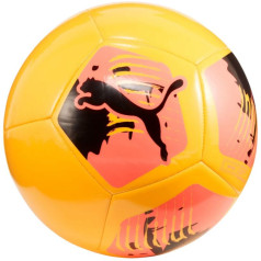 Futbolas Puma Big Cat 84214 02/3