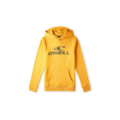 O'Neill Logo Hoodie Jr 92800615006 / 164