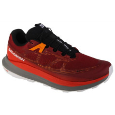 Salomon Ultra Glide 2 GTX M skriešanas apavi 472165 / 46 2/3