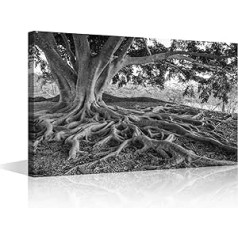 TISHIRON Big Tree Root Wandkunst für Schlafzimmer, natürliche Landschaft, Leinwandkunst, Wanddekoration, Schwarz und Weiß, moderne Wandkunst, Bilder für Wohnzimmer, Kunstwerk, Gemälde, Giclée,