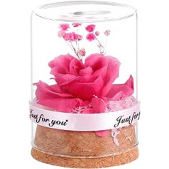 Yardwe Everlasting Forever Preserved Flower in Glass Dome Handmade Rose Galaxy Artificial Flowers Bonquets Valentine's Day Gifts Pink