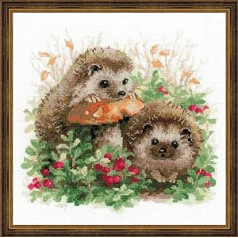 Riolis Igel brūklenēs Kreuzstich Bild für die Home, Mehrfarbig, 25cm x 25cm