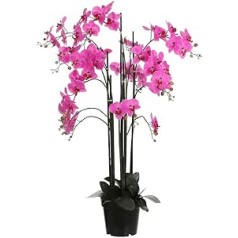 MICA Decorations Phalaenopsis - Mākslīgais augs - Violets - Augstums 117 cm