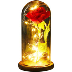 FunPa Skaistule un zvērs Roze dzimšanas dienas dāvana sievietēm Roze stikla kupolā Roze stiklā LED dāvanas kāzām Valentīna diena Mātes diena gadadiena Ziemassvētku diena