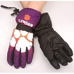 FOCO NCAA Unisex-Handschuhe mit großem Logo, isoliert, Unisex, Big Logo Insulated Gloves