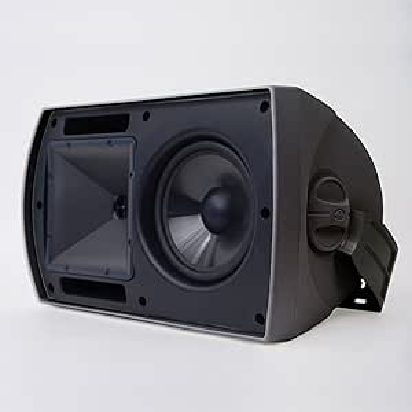 Klipsch AW-Team Lautsprecher, Schwarz