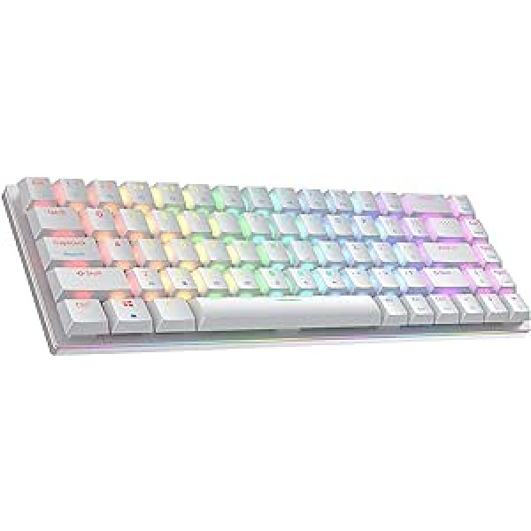 Ierindota G65 Guardian 65% | Pilns alumīnijs | Hot-Swap mehāniskā spēļu tastatūra | 68 taustiņi RGB LED PC/Mac | QWERTY ANSI US izkārtojums (balts, Gateron zema profila brūns)