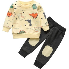 Joureker Toddler Baby Boys Clothing Sets Dinosaur Printed Long Sleeve Tops and Trousers Outfits