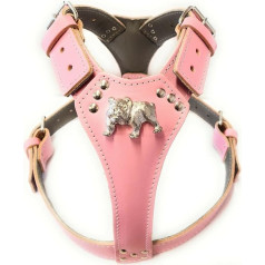 M&D Beautiful Baby Pink Leather Dog Harness with English Bulldog Head (Brass Fittings)