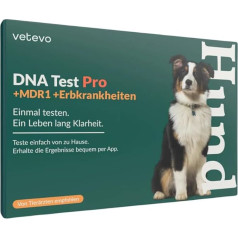 vetevo suņu DNS tests Šķirņu identifikācija un iedzimtas slimības, suņu ģenētiskais tests 400+ suņu šķirnēm un 175+ iedzimtām slimībām, viegli lietojams, bezmaksas piegāde laboratorijā