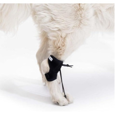 Ortocanis - Proprioceptive corrector for dogs with sciatic nerve or spine injuries and myelopathy, size M