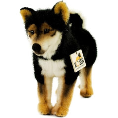 Teddys Rothenburg Kösen, Shiba-Inu, 28 cm, stehend, schwarz/Weiss/braun, Stoffshiba-Inu, Plüschhund