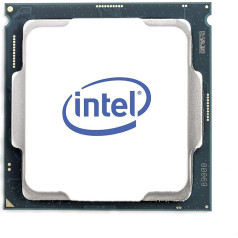 Intel Core i9-10900X X-Serie Prozessor 10 Kerne mit 3,7 GHz (bis 4,7 GHz mit Turbo Boost 3.0, LGA2066 X299 Series 165W Prozessor (999PNG)