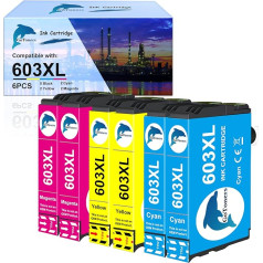 GoToners 603XL kasetės, suderinamos su Epson 603 XL spalvoto spausdintuvo kasetėmis, skirtomis XP-2100 XP-2150 XP-2105 XP-3100 XP-3105 XP-3150 XP-4100 XP-4150 WF-2810 WF-2830 WF-2850 (2 žydros spalvos, 2 purpurinės spalvos, 2