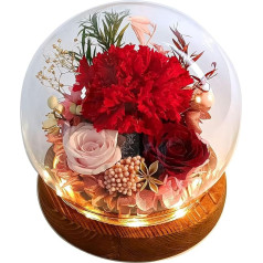 BAITAI Ewige Rosen Glas Infinity Mit LED-Licht,Glasrose Konservierte Echt Unendliche Eternal Geschenke ür Mutter Oma zum Geburtstag Weihnachten Muttertag Valentinstag Jahrestag（Rosen und Nelken