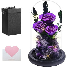 YISONHO Ewige Rose im Glas mit LED-Preserved Roses Flowers, Valentīna diena Kāzu gadadiena Jubileja Dzimšanas diena Dāvana, draudzene Māte Sieva Geschenke für Frauen, Purple-01