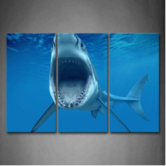 Pirmā sienas māksla - Hai offener Mund Leinwand Bilder Blaues Meer Badezimmer Wandbild Poster 3 Panel Modern Meereslebewesen Dekorationen Für das Wohnzimmer,Büro,Küche,Schlafzimmer