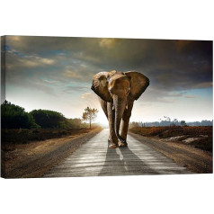 Startoshop Wallart PICMA Photoluminescent Wall Picture XXL Canvas Sienas apdare Canvas Picture Street for an Elephant Art Print Picture