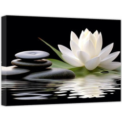 CCWACPP Zen Canvas Prints White Lotus Flower in Water Wall Picture Flowers Stone Spa Glezniecība jogas meditācijas istabas vannas istabas sienas apdare 40 x 60 cm