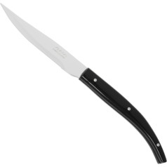 Arcos Gaļas steika nazis STEAK BASIC garums 110/230 mm