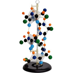 WlP Proteīnu sekundārās struktūras modelis Mācību instruments Bioloģiskais modelis Mācību modelis Proteīnu sekundārās struktūras modelis Noņemami bioloģijas mācību modeļi Mācību palīglīdzeklis zinātniskiem eksperimentiem