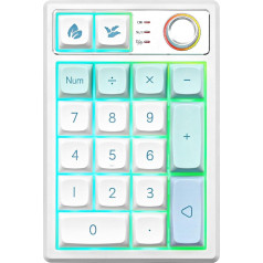 YUNZII YZ19 Wireless Mechanical Number Keypad, 19 Keys Numeric Keyboard with Knob, RGB Gasket PBT Keyboards, Hot Swap Programmable Keyboard, Numpad for Win/Mac/Gaming (Gateron Yellow, Mint)