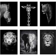 Modern Black and White Lion Elephant Zebra Giraffe Canvas Wall Art Picture Wall Art Picture 21x30cm Unframed