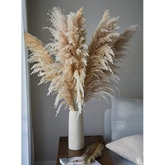 Pampas Grass Large (100-120 cm) – 12 kaltētu ziedu iepakojums Pampas Grass XXL kaltēti ziedi dabīgi kaltētu ziedu pušķis Pampas Grass dekoratīvās vāzes Dekorācija vāzei Boho dekorācija kāzu guļamistaba