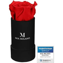 Mia Milano Infitnity Rozes in Box I Black Rose Kaste ar īstiem konservētiem ziediem I Dāvana sievietēm I Puķu kastes plaukts 3 gadi