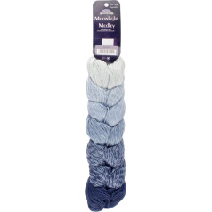 JubileeYarn Moonlight Medley dzija Ombre DK Svars Merino vilna/akrils 200g/dzija Aquarius - gabalā