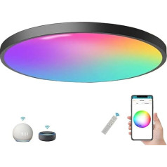 LED griestu gaisma Alexa saderīga 32 cm viedā griestu gaisma melna RGB dimmējama ar tālvadības pulti ar Apple Homekit Griestu gaisma Krāsu maiņa, kas kontrolējama, izmantojot lietotni 24 W apaļa plakana IP44 guļamistaba