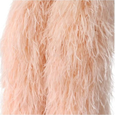 10 Ply Dyed Various Ostrich Feather Boas, Champagne Natural Boa Costume Crafts, DIY Craft Scarf for Wedding Dresses, Decoration, Ribbon Plume 50cm 2 Meters (Color : Champagne,