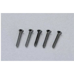 Screws for tracks with embankment, approx. 50 pieces