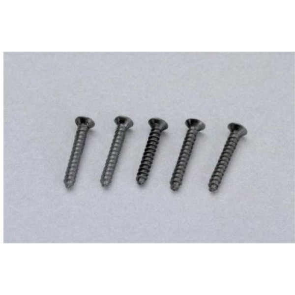 Screws for tracks with embankment, approx. 50 pieces