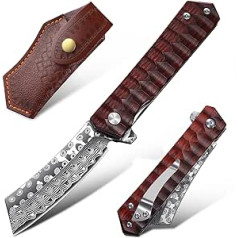 Japaknives Damask Folding Knife with Clip, Sharp One-Handed Knife with Damascus Steel Blade, Pocket Knife Sheath, EDC Knife, Damascus Knife, Ideal Gift for Men and Women