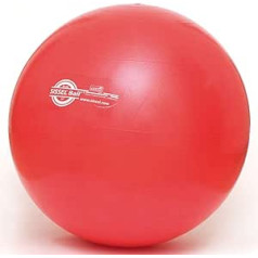 SISSEL Exercise Ball