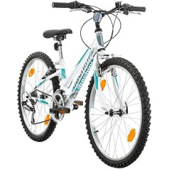 Vairāku zīmolu Probike Adventure, 24 collu, 290 mm meiteņu velosipēds kalnu velosipēds, 18 ātrumu dubļusargu komplekts, sievietēm, bērniem un junioriem