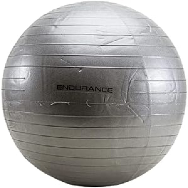 ENDURANCE Unisex – Pieaugušo vingrošanas bumba 55 cm