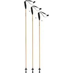 Ferrino Eiger trekking poles