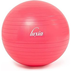 LUXIA Fitness Ball for Pilates Yoga, Abdominal Toning, Gymnastics in Pregnancy, Fitball, Posture Chair, Office, Improves Balance and Stability, Non-Slip and Non-Slip, with Pump Diameter 65 cm