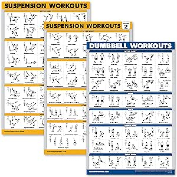 Palace Learning 3 komplekts — piekares treniņu plakāti — 1. joslas un 2+ hanteles vingrinājumu plakātu komplekts — 3 treniņu diagrammu komplekts (lamināts, 18 x 24 collas)