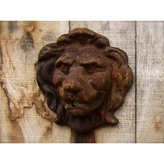 Antikas - Lion Head Water Outlet for Wall Fountain - Fountain - Decoration Wall Spear