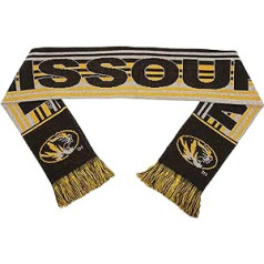 FOCO NCAA Glitter Stripe Scarf (2016 Edition)