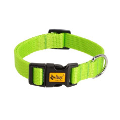 Dingo collar 2.5 x 55cm (31-49) green